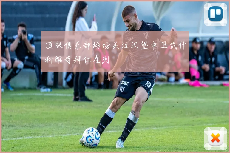 顶级俱乐部纷纷关注汉堡中卫武什科维奇拜仁在列