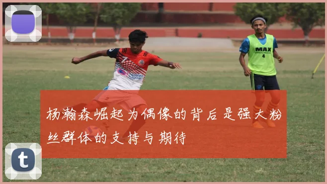 杨瀚森崛起为偶像的背后是强大粉丝群体的支持与期待